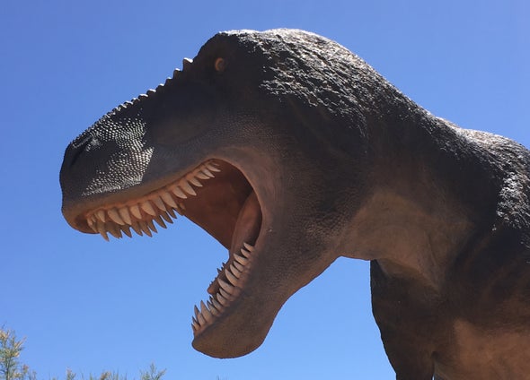 What Did Dinosaur Tongues Look Like?