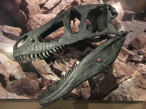 <i>Marshosaurus</i>--the Jurassic's Forgotten Carnivore