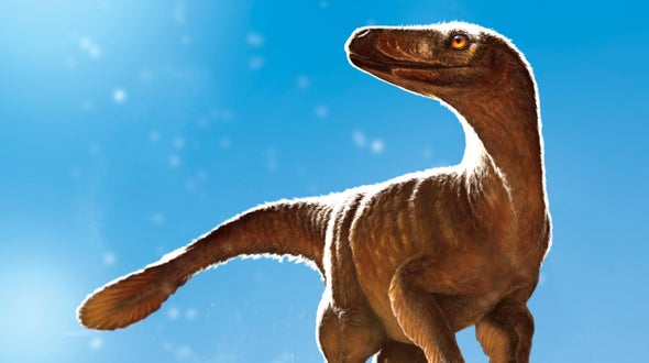 Paleo Profile: The Hiding Hunter