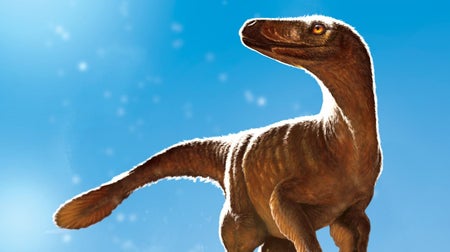 Latenvenatrix