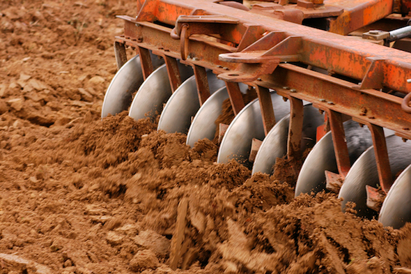 To Feed the World Sustainably, Repair the Soil