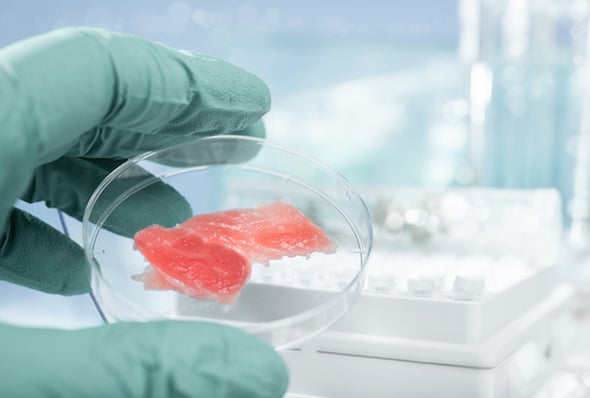 Lab-Grown Meat Is on the Way