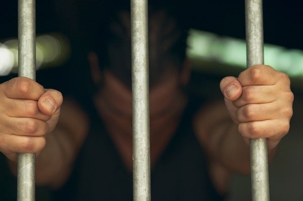 Beauty, the Beast and Incarceration Reform - Scientific American Blog ...