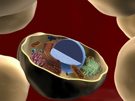 Scientific American Logo