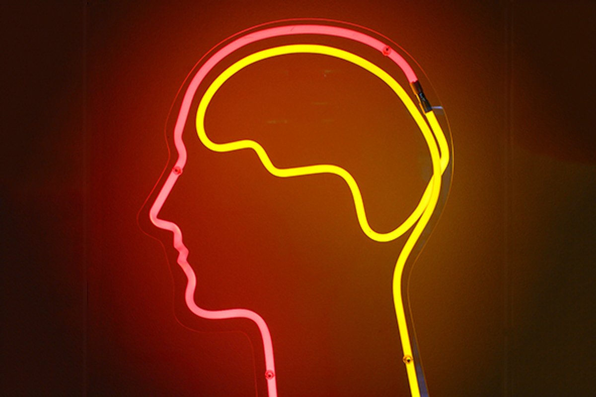 https://blogs.scientificamerican.com/guest-blog/you-can-increase-your-intelligence-5-ways-to-maximize-your-cognitive-potential social preview image