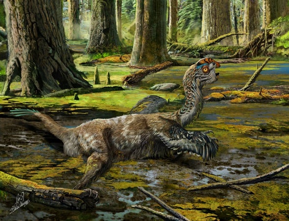 Paleo Profile: The Mud Dragon