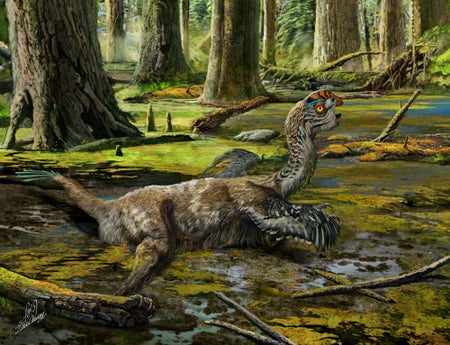 Mud Dragon
