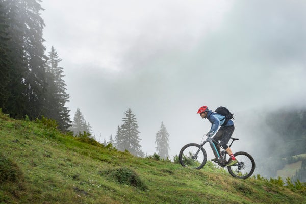 A cyclist riding up a grassy hill with pine trees in the background