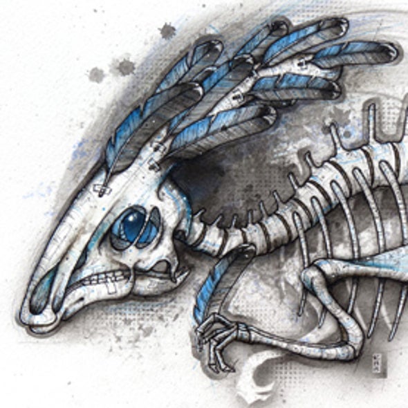 Curiously Feathered Dinosaurs