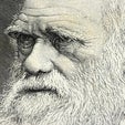 Was Darwin Wrong?