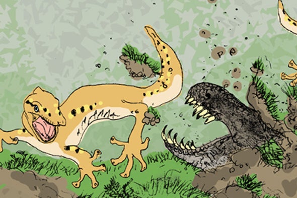Predatory Actions of the Amphisbaenians