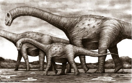 Titanosaur