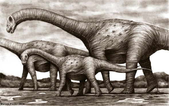 Paleo Profile: The Mystery Titanosaur