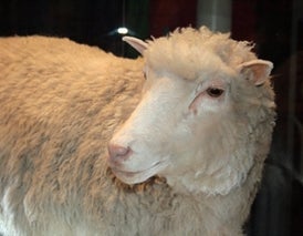 Have the Ethical Questions Surrounding Cloning Changed Since Dolly?