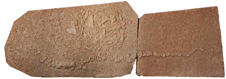 Fossil
