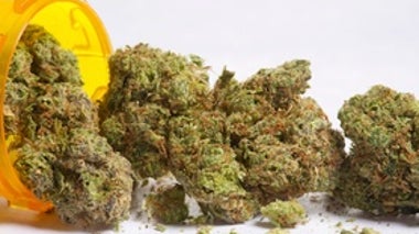 Can Cannabis Solve the Opioid Crisis?