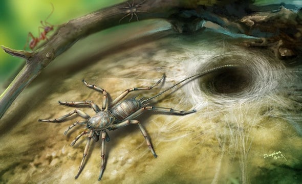 Paleo-Profil: Die Chimera-Spinne
