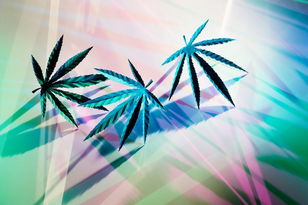 Is Cannabis Good or Bad for Mental Health? - Scientific American