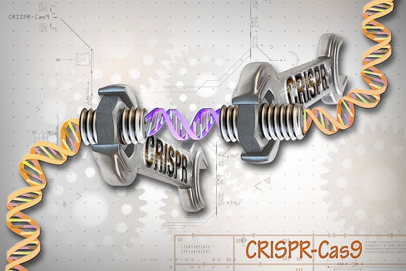 Can CRISPR–Cas9 Boost Intelligence?