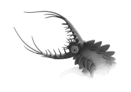 Lobopod