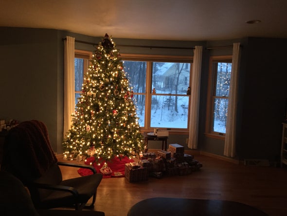 Recognizing False Beliefs: More Than Chimneys and Reindeer