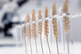 GMOs Are Not Agriculture's Future--Biotech Is
