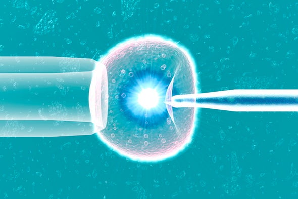 What AI Can Do for IVF