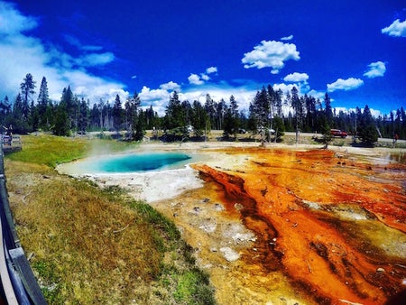Scientific American Logo