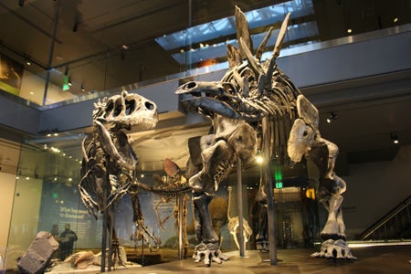 Jurassic