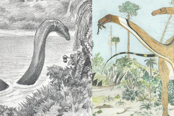 The Mokele-mbembe - Enchanted Bros wiki