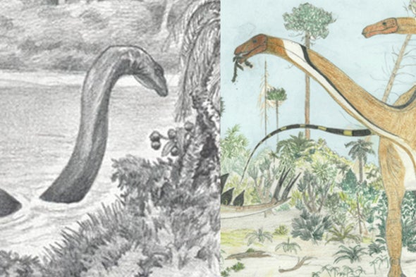 Africa's Loch Ness Monster: Dinosaur called Mokele-mbembe 'lives in the  Congo' - Daily Star