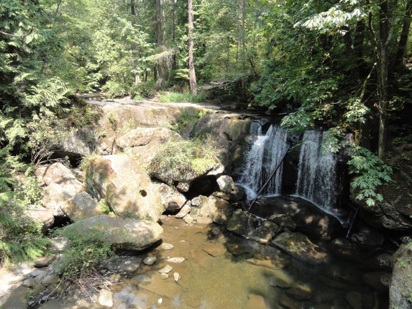 Drool-Worthy Geology at Whatcom Falls Park