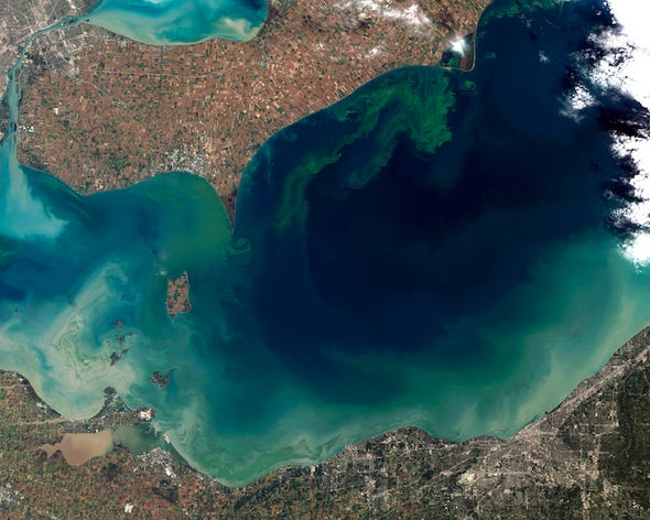 Toxic Algae Blooms Are on the Rise