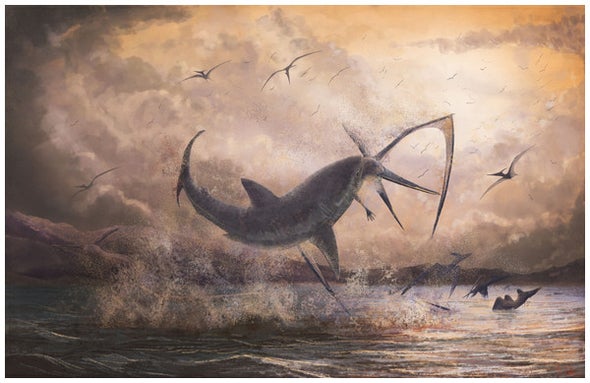Prehistoric Shark May Have Caught a Dinner on the Wing