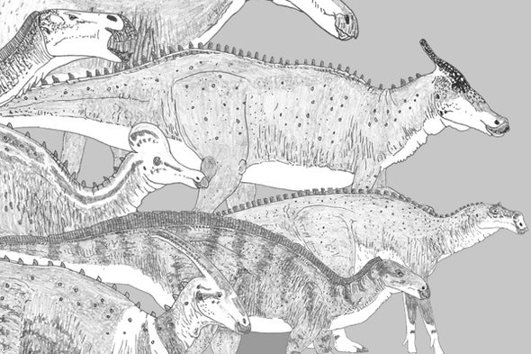 Eberth and Evans's <i>Hadrosaurs</i>, a Book Review, Part 2
