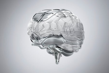 Scientific American Logo