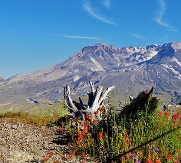 The Absolutely Definitive Mount Saint Helens Collection