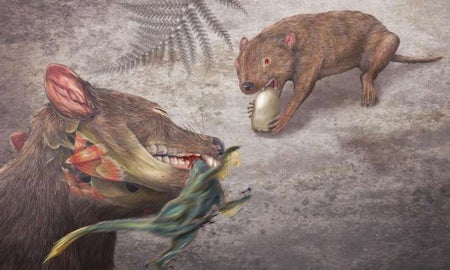 Didelphodon