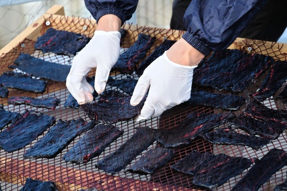 Japanese Whaling Is Not the Greatest Threat to Whale Conservation