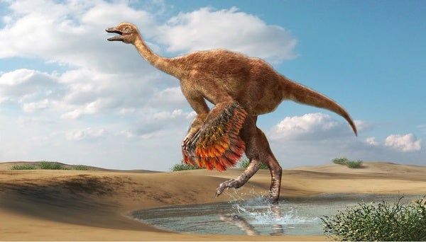 Giant Ostrich-Like Dinosaurs Once Roamed North America, Science