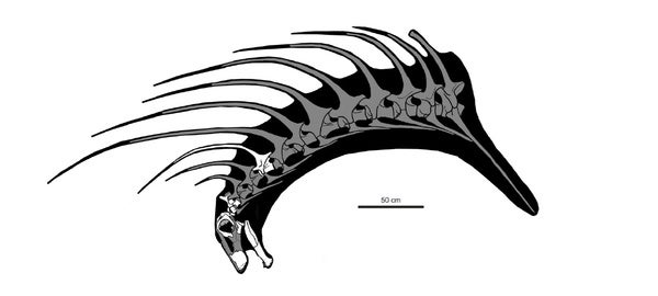 spiky dinosaur