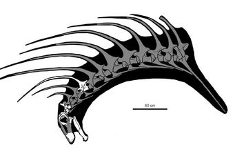 New Spiky Dinosaur Discovered in Patagonia