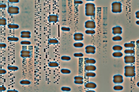 Scientific American Logo