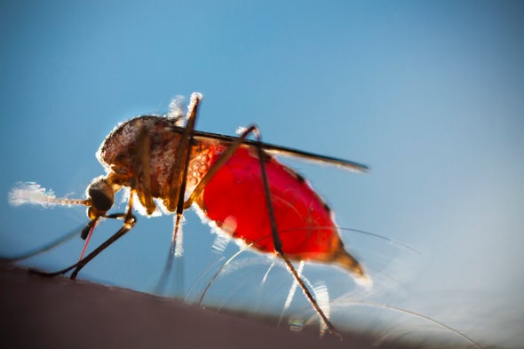 Predicting Mosquito Populations to Keep Diseases in Check