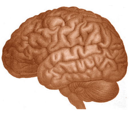 大众科学 Logo