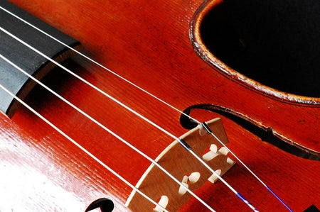 A close-up of a red-brown violin with the bridge, strings, and f-shaped holes visible