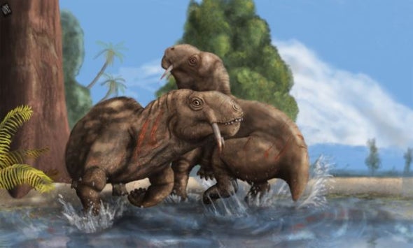 The Earliest Saberteeth Were For Fighting, Not Biting