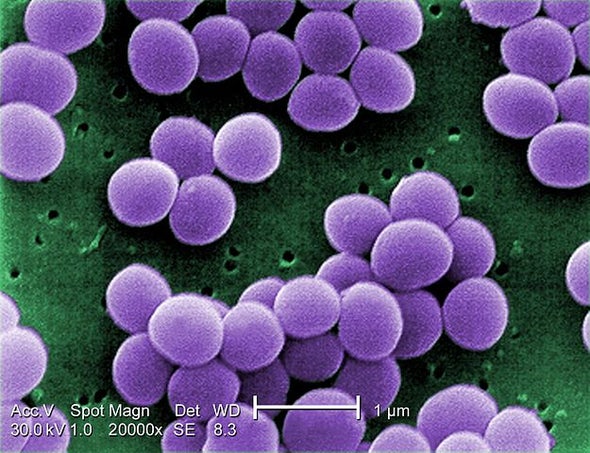 New Hope in the Fight against Antimicrobial Resistance
