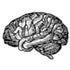 Beautiful Minds