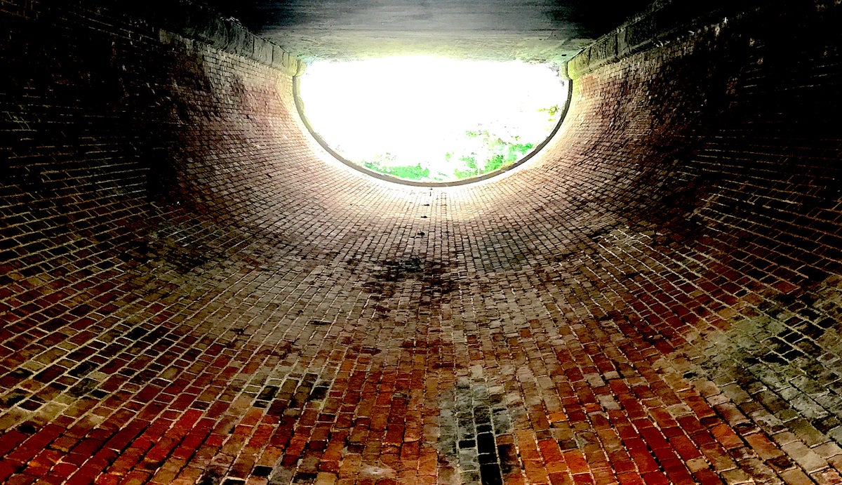 Chasing Consciousness, and the Information Revolution